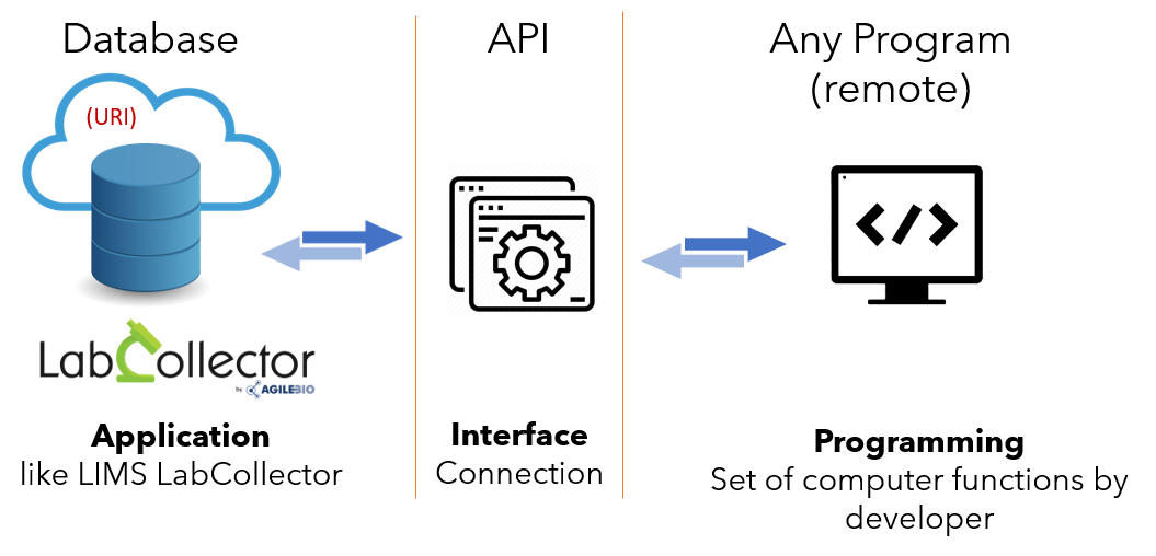 Api Laborworkx 10. API